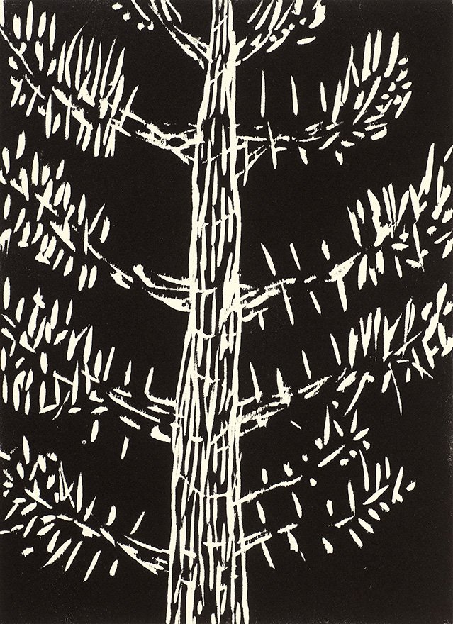 2023 Geelong Acquisitive Print Awards Geelong Gallery